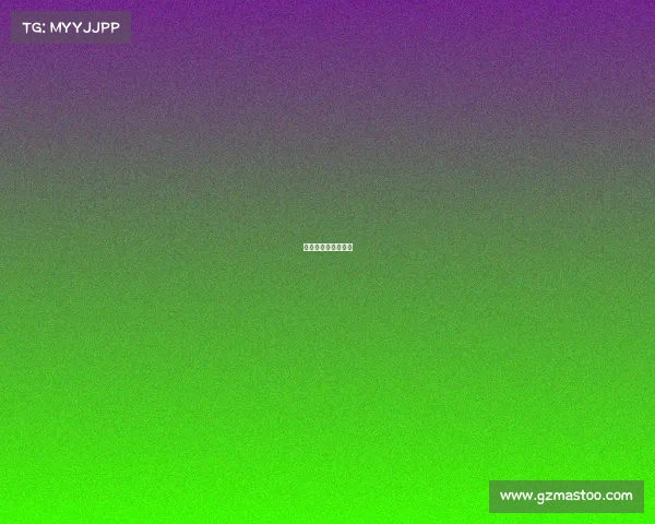 法国队赛事记录查询